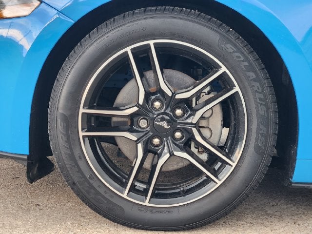 2022 Ford Mustang EcoBoost